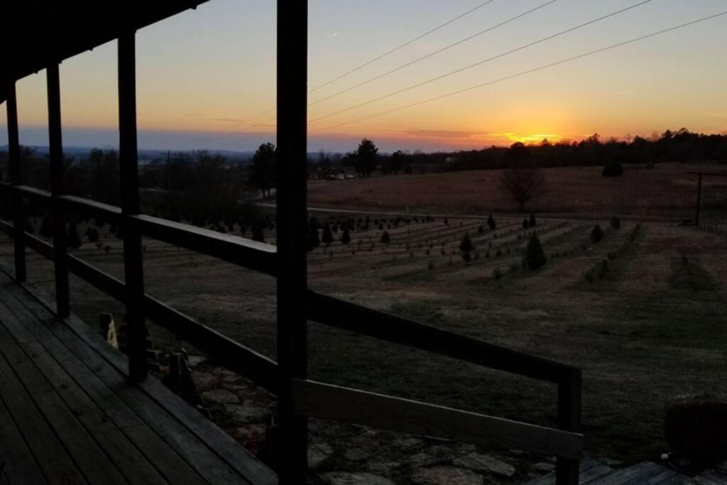 Rural Life On A Real Christmas Tree Farm! Hallmark Experience! Ozark Екстер'єр фото