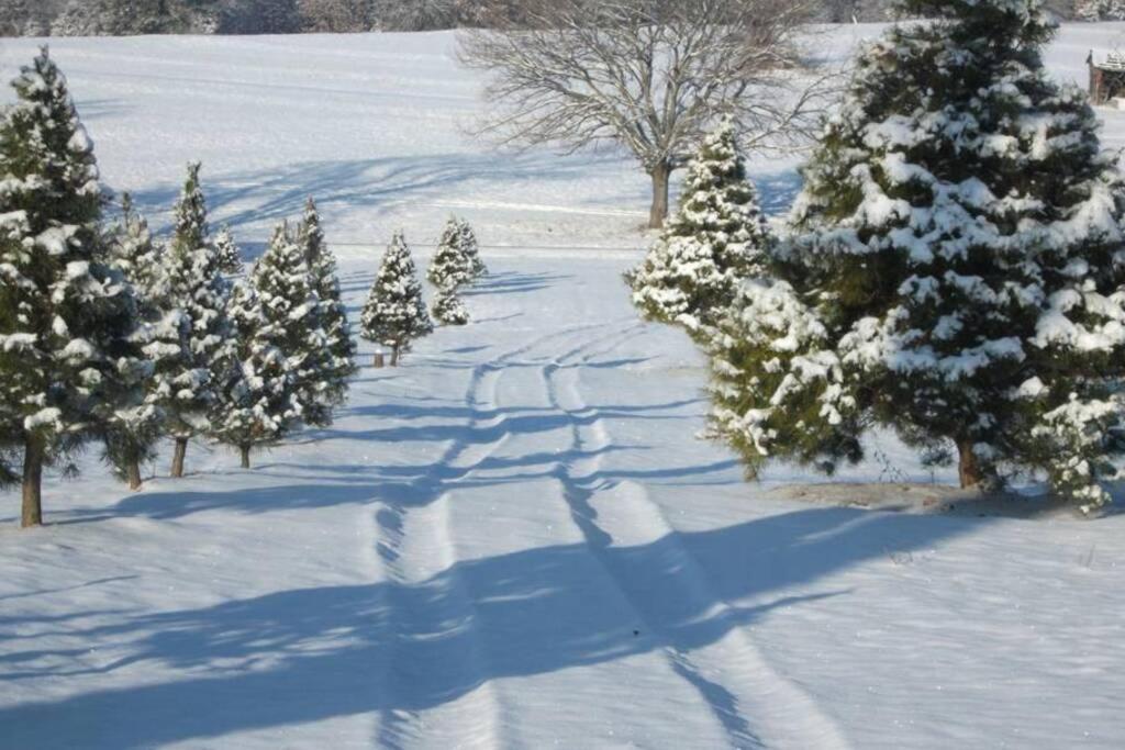 Rural Life On A Real Christmas Tree Farm! Hallmark Experience! Ozark Екстер'єр фото