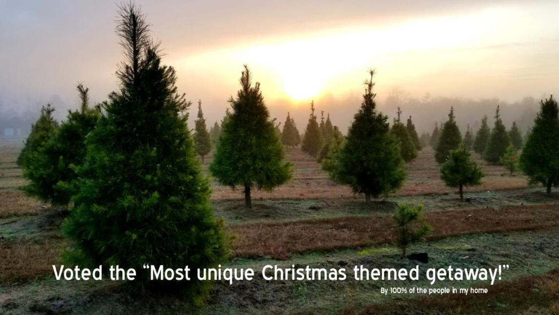 Rural Life On A Real Christmas Tree Farm! Hallmark Experience! Ozark Екстер'єр фото