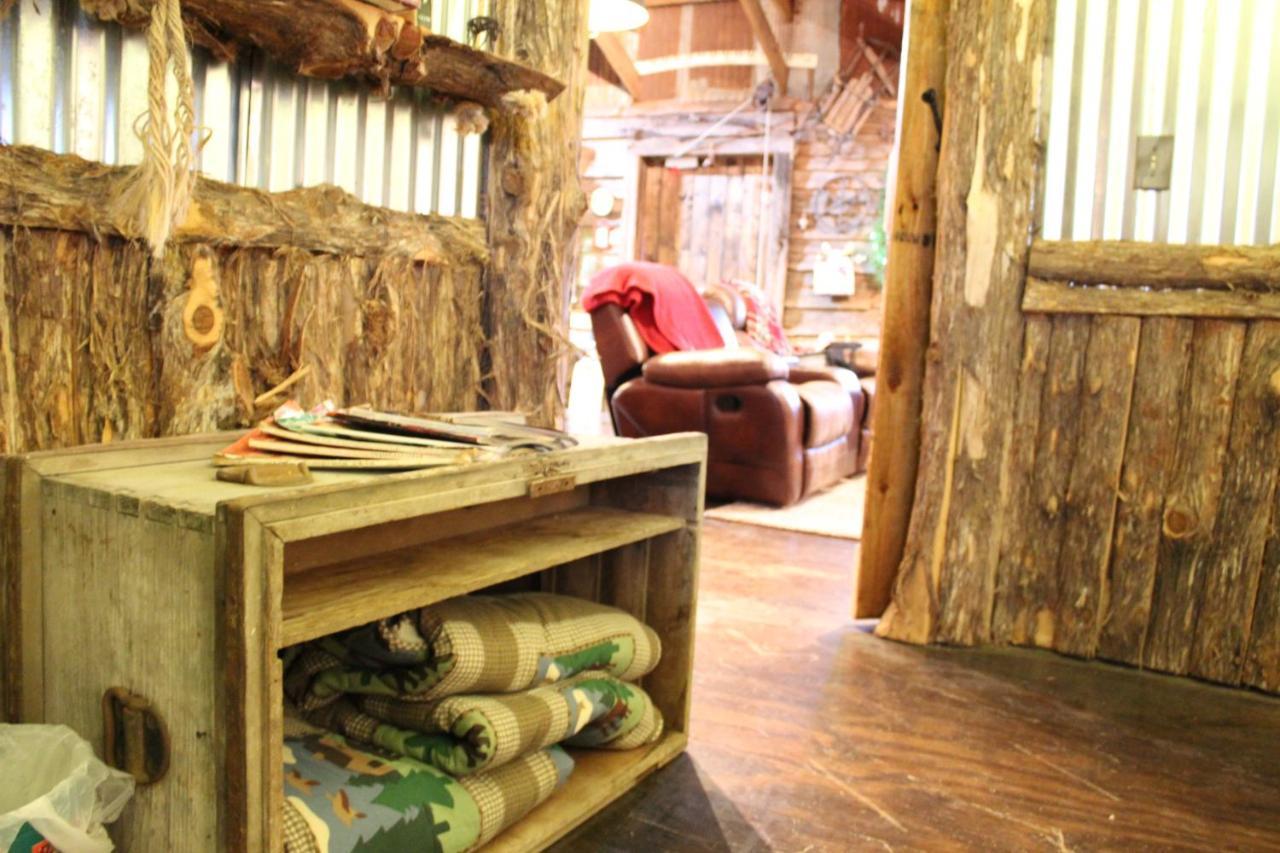 Rural Life On A Real Christmas Tree Farm! Hallmark Experience! Ozark Екстер'єр фото