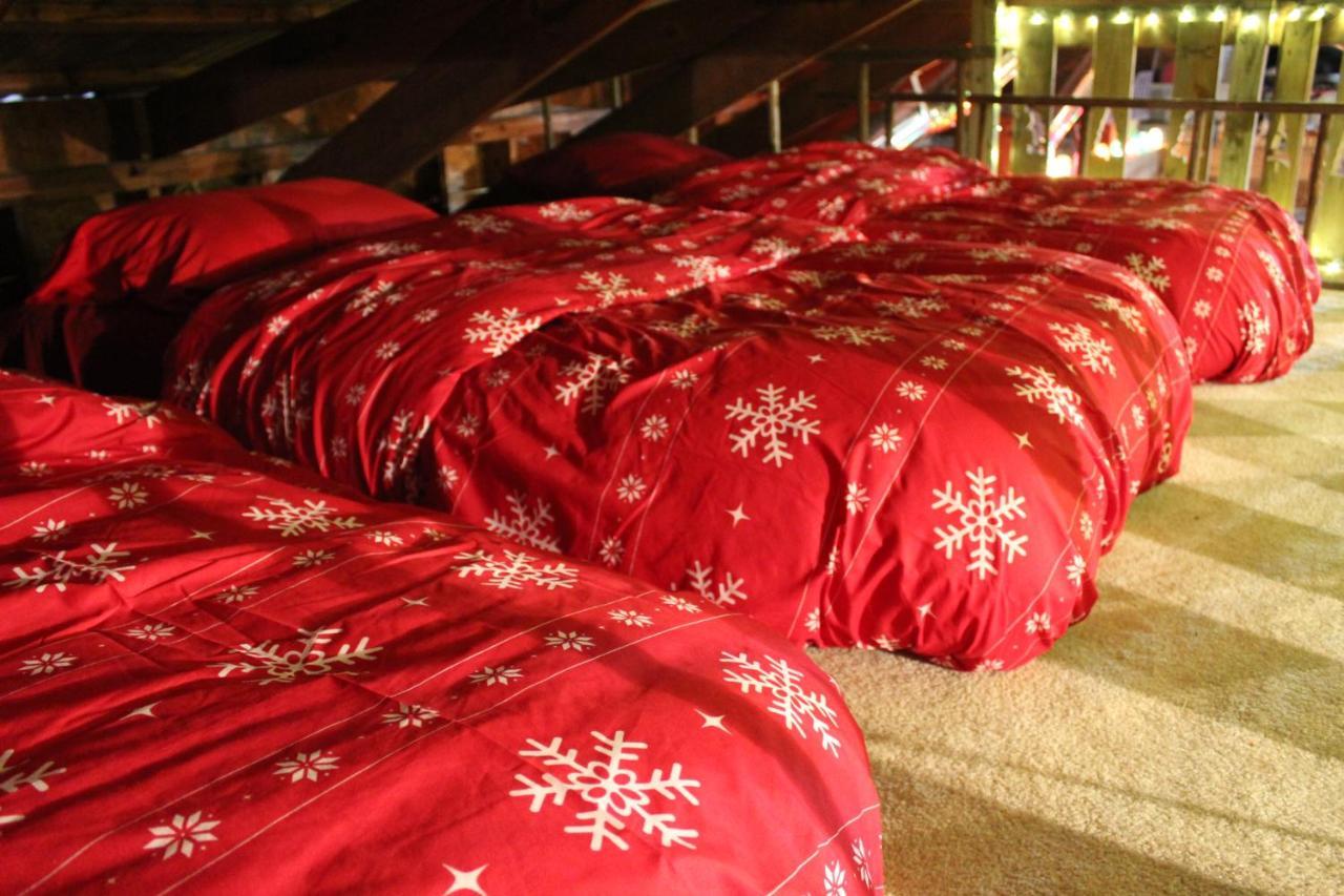 Rural Life On A Real Christmas Tree Farm! Hallmark Experience! Ozark Екстер'єр фото