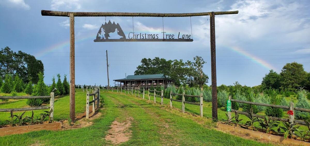 Rural Life On A Real Christmas Tree Farm! Hallmark Experience! Ozark Екстер'єр фото